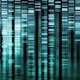 Geen DNA-hit Utrechtse serieverkrachter