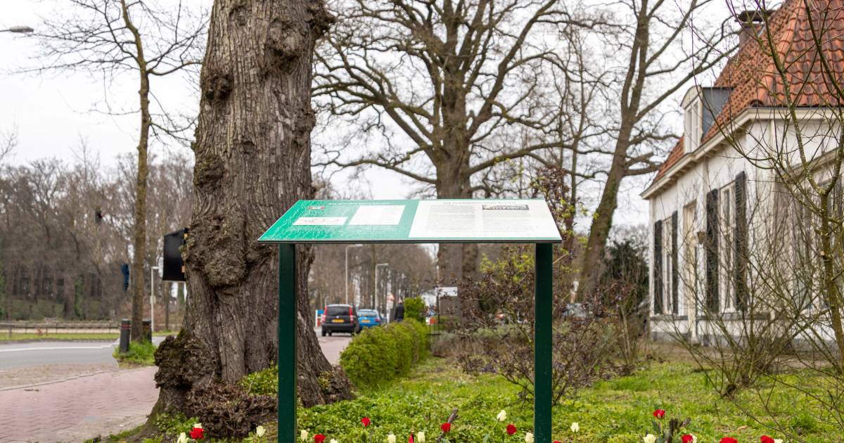 Inwoners van Colmschate staan op 8 april opnieuw stil bij de bevrijding van het dorp