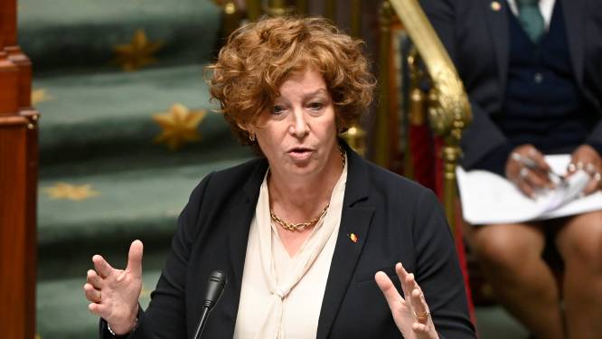 Vakbonden en sectorfederaties: “Minister De Sutter nekt Belgische pakjessector”