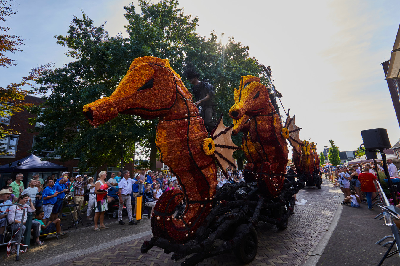 Bijzondere berenboom wint Bloemencorso; publieksprijs voor gigantische ...