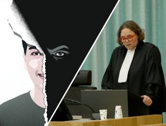 Volgt rechtbank deskundigen of gaat ze mee in eis Justitie in geruchtmakende strafzaak Gianni de W.? 