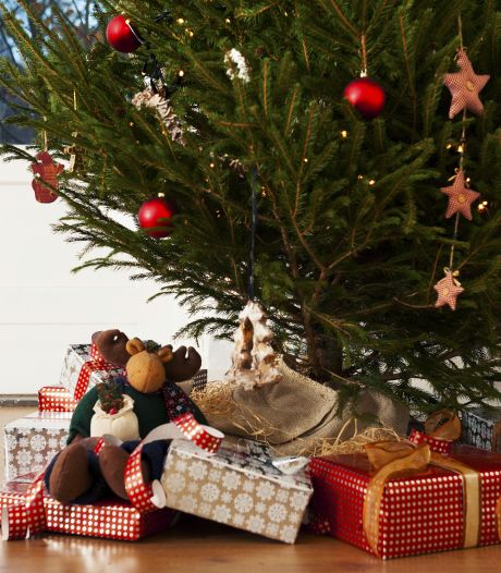 Sinterklaas vieren onder de kerstboom? Mail ons!