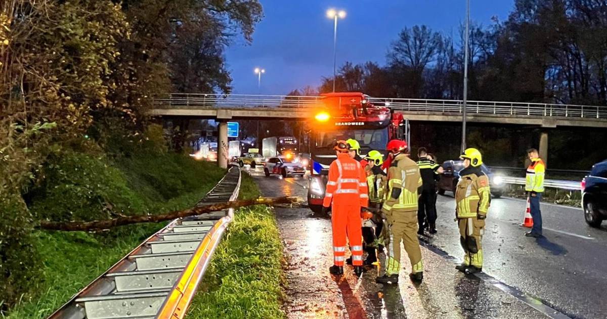 Grote tak op de weg bij Oosterhout en ongeval bij Geertruidenberg zorgen voor vertraging op de A27.