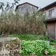 Waarom woningen van steen? Hout kan ook, zien de grote bouwconcerns