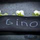 Moeder van vermoorde Gino is overleden: ‘Dit is met geen pen te beschrijven’