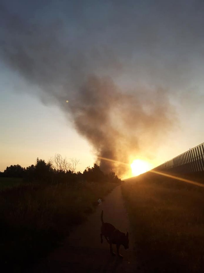 Een wandelaar spotte vanochtend de rookpluim tijdens een wandeling met de hond.