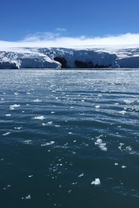 Les courants océaniques profonds ralentissent plus tôt que prévu
