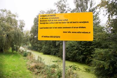 Botulisme in de Kraatsvijver in Ede