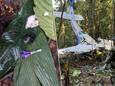 Aucun des quatre enfants à bord n'a été retrouvé après le crash d'un petit avion de tourisme dans la forêt amazonienne
