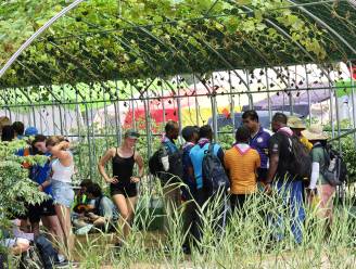 Honderden scouts onwel door hitte bij Wereldjamboree Korea, onder wie acht Nederlanders