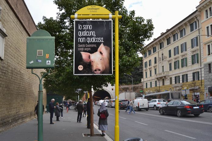 Er is vandaag een reclamebord verschenen in Rome, vlakbij het Sint-Pietersplein in Vaticaanstad, met daarop een varkensgezicht en de tekst 'Ik ben iemand, niet iets. Kies deze vastentijd voor vegan'. De campagne is door PETA gelanceerd om iedereen ertoe aan te zetten vegan te worden gedurende de vastentijd en zo dieren te helpen, het milieu te beschermen en gezond te worden.