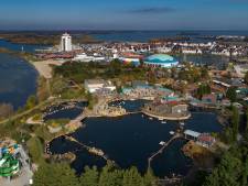 Tegenstanders Dolfinarium in Harderwijk dwingen zeedierenpark in onmogelijke spagaat
