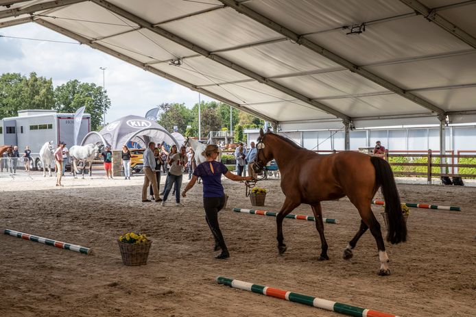 De paarden krijgen voorrang op Longines Global Champions Tour in