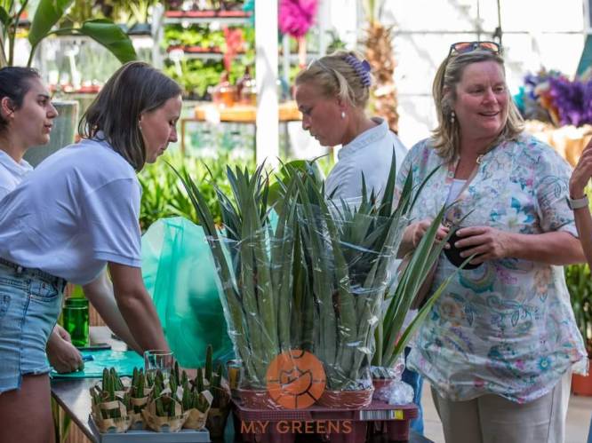 Van zaden tot planten: met deze 7 plantenbeurzen in Limburg maak je je tuin zomerklaar
