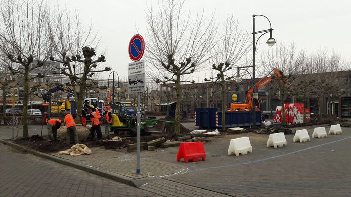 Herinrichting Van Bergenplein.