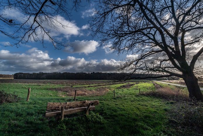 Brabantse Wal