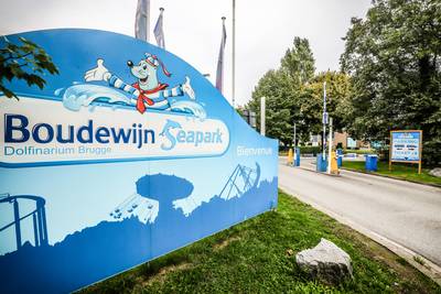 Boekhouder (43) die 93.000 euro verduisterde van Boudewijn Seapark, pas uit cel voor... oplichting : “Geld gebruikt voor zeer zware gokverslaving”