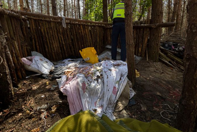 Medewerkers van de gemeente ruimen de hutten in de bossen bij Mierlo op.