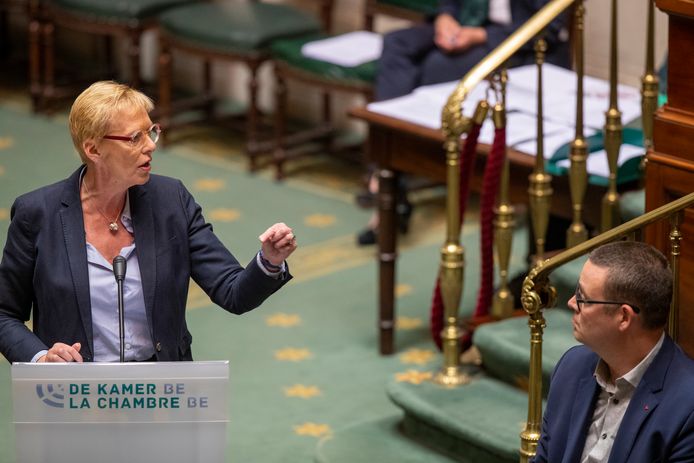 Minister van Pensioenen Karine Lalieux en voorzitter PVDA/PTB Raoul Hedebouw tijdens het kamerdebat over pensioenen.