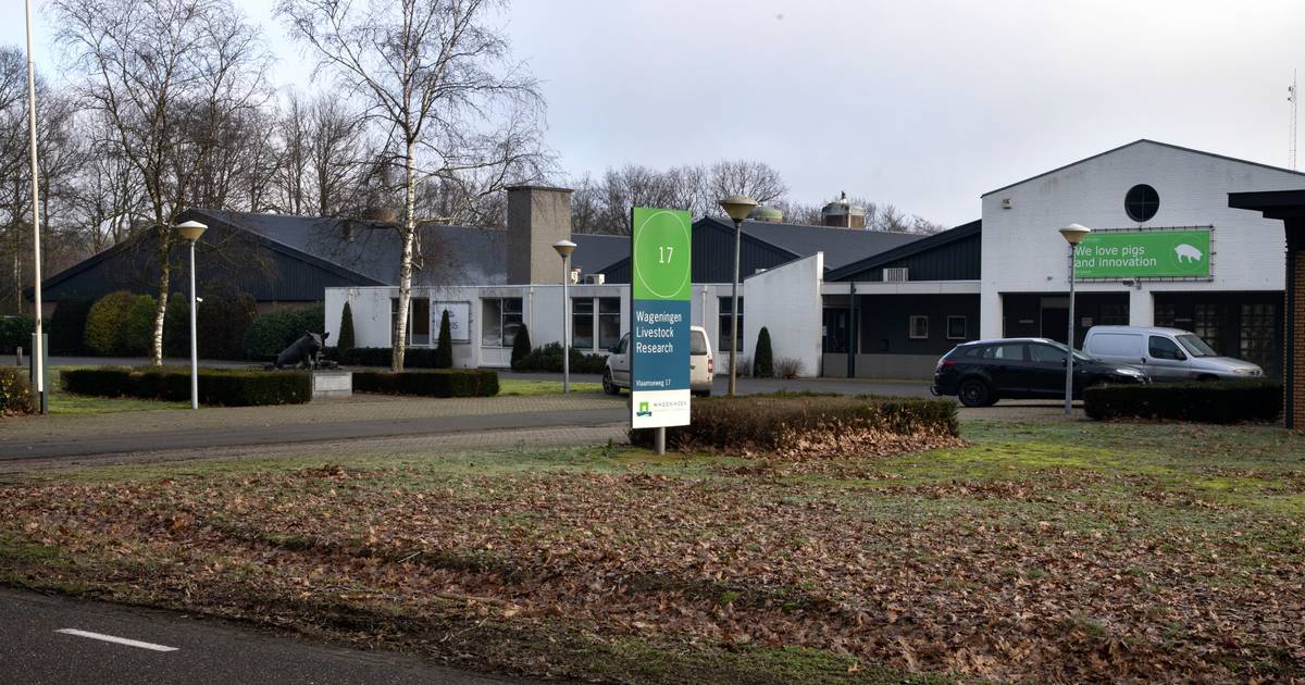 ‘Zeven woningen op plek varkensproefbedrijf Sterksel reëel’