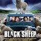 Black Sheep