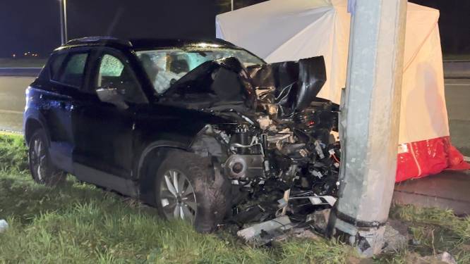 Bestuurder (38) overlijdt na klap tegen verlichtingspaal langs E40 in Jabbeke: “Mogelijk in slaap gevallen achter z’n stuur”