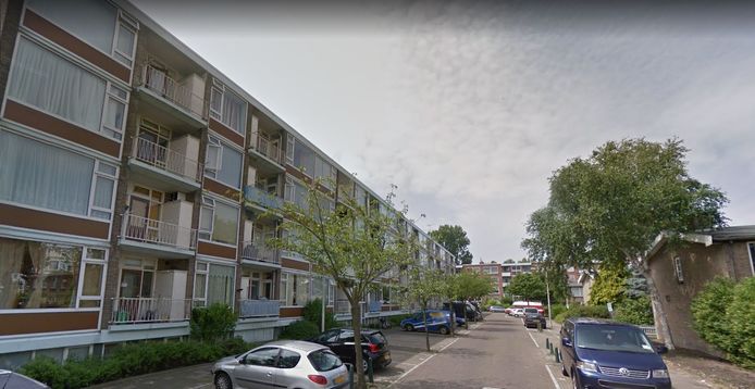 Het Mosveen in Den Haag. In dit deel van de wijk wordt vooral gerenoveerd en minder gesloopt dan in het deel rond het Hoogveen.
