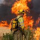 Europese bosbranden leggen in slechts zeven maanden al meer bos in de as dan in heel 2021