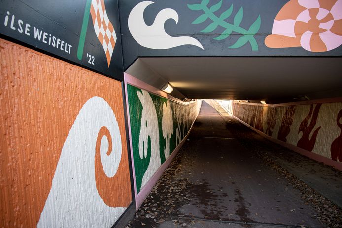 Jongeren veroorzaken overlast in opgeknapte Prinses Irene-fietstunnel. De buurt heeft er genoeg van en schreef een brief naar de gemeent.