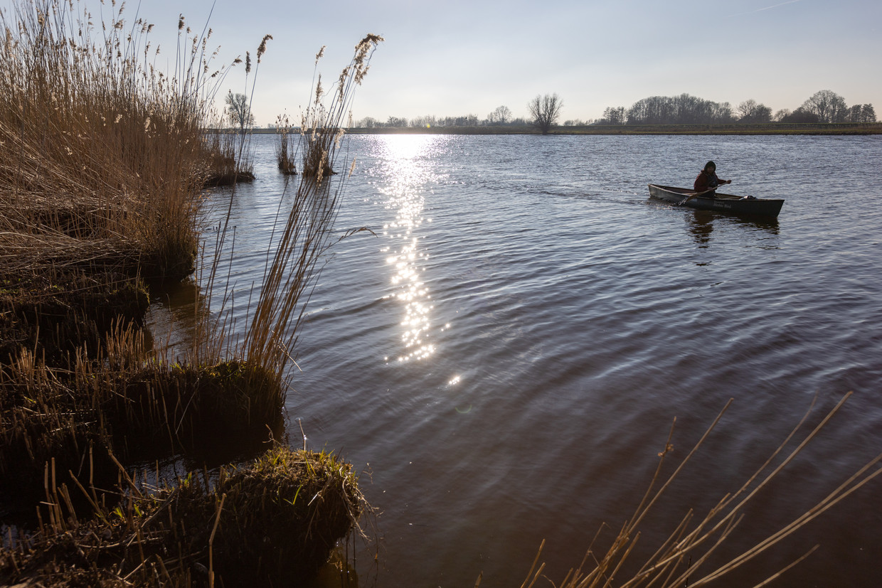 Het Zwarte Water ten noorden van Hasselt waar Rijkswaterstaat stalen damwanden langs de oever wil slaan. Verschillende landelijke en lokale natuur- en watersportorganisaties protesteren hiertegen.