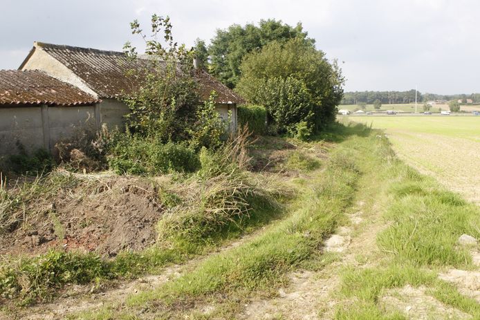Illustratiebeeld - Weet jij deze weggetjes liggen, of heb je zin op de trage wegen in je buurt te ontdekken?