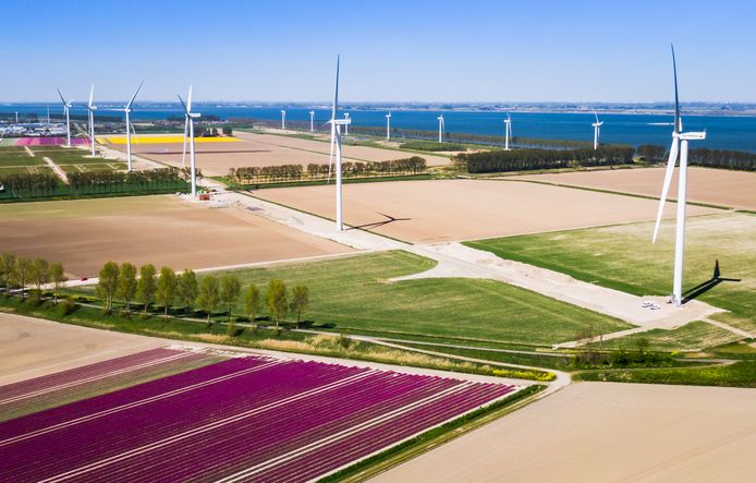 Het windmolenpark in de Van Pallandtpolder op Goeree-Overflakkee afgelopen voorjaar.