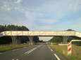 Een Lowlandsbrug, maar dan bij Paleis Soestdijk: is dit hoe massa’s bezoekers straks de weg over gaan?