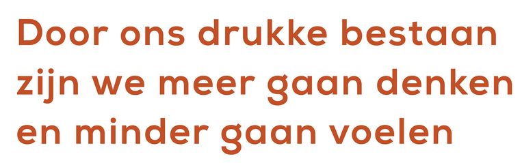 null Beeld 
