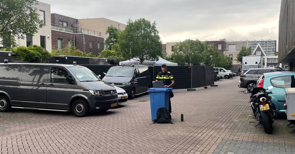 Lichaam 67-jarige vrouw gevonden op parkeerplaats in Zwolle: politie massaal aanwezig