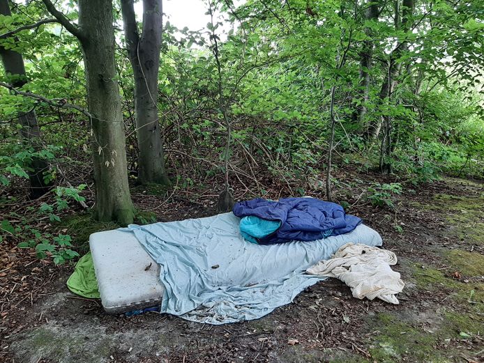 Slaapplek van een onbekende persoon in het Zuiderpark, aan de kant van De Vaan.