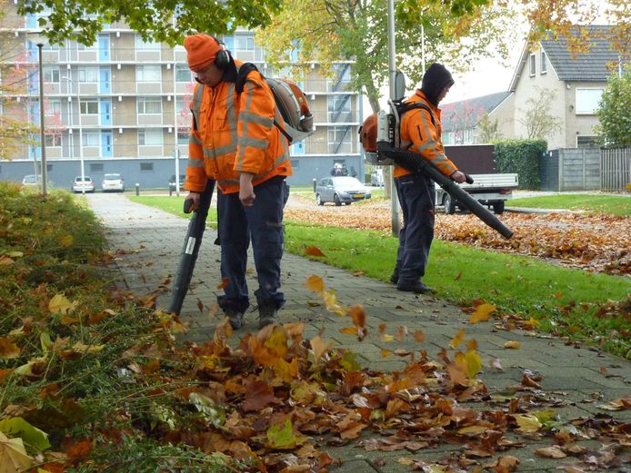In andere gemeenten gaat het onder andere om een baan als wijkconciërge, hulp op scholen, parkbeheerder en gastheer en -vrouw in overheidsgebouwen.