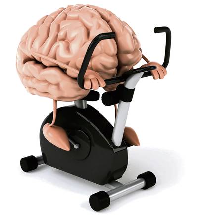 Helder Honderd Worden: nieuw project van Coöperatie Land van Herpen moet hersenen fit houden