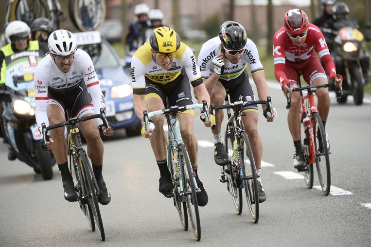 null Beeld belga