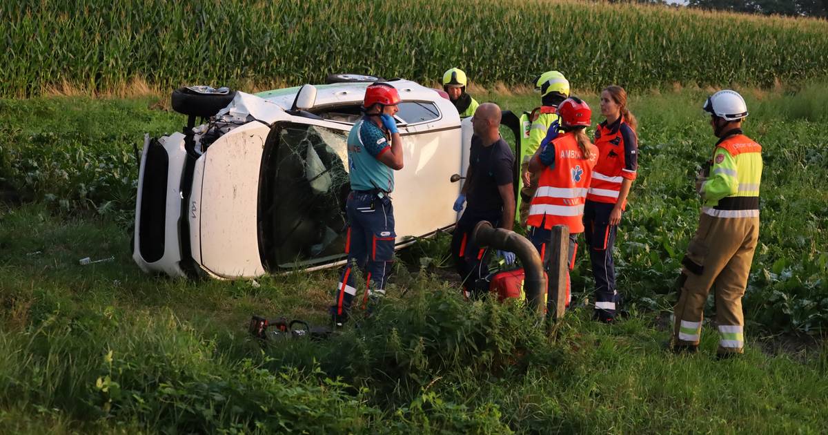 Auto belandt in weiland na harde botsing tegen boom, slachtoffer moet bevrijd worden