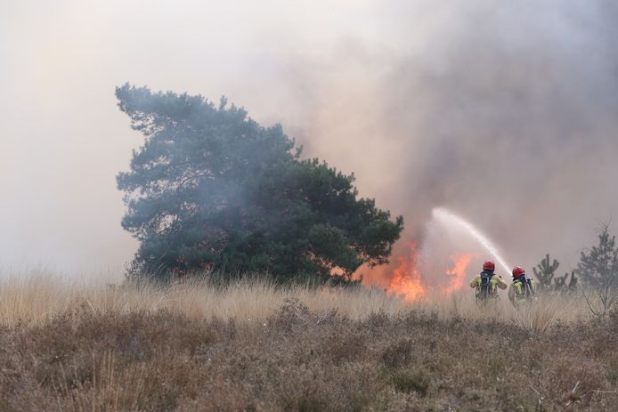 Aan de Erica tussen Best en Oirschot is woensdagmiddag een natuurbrand uitgebroken.