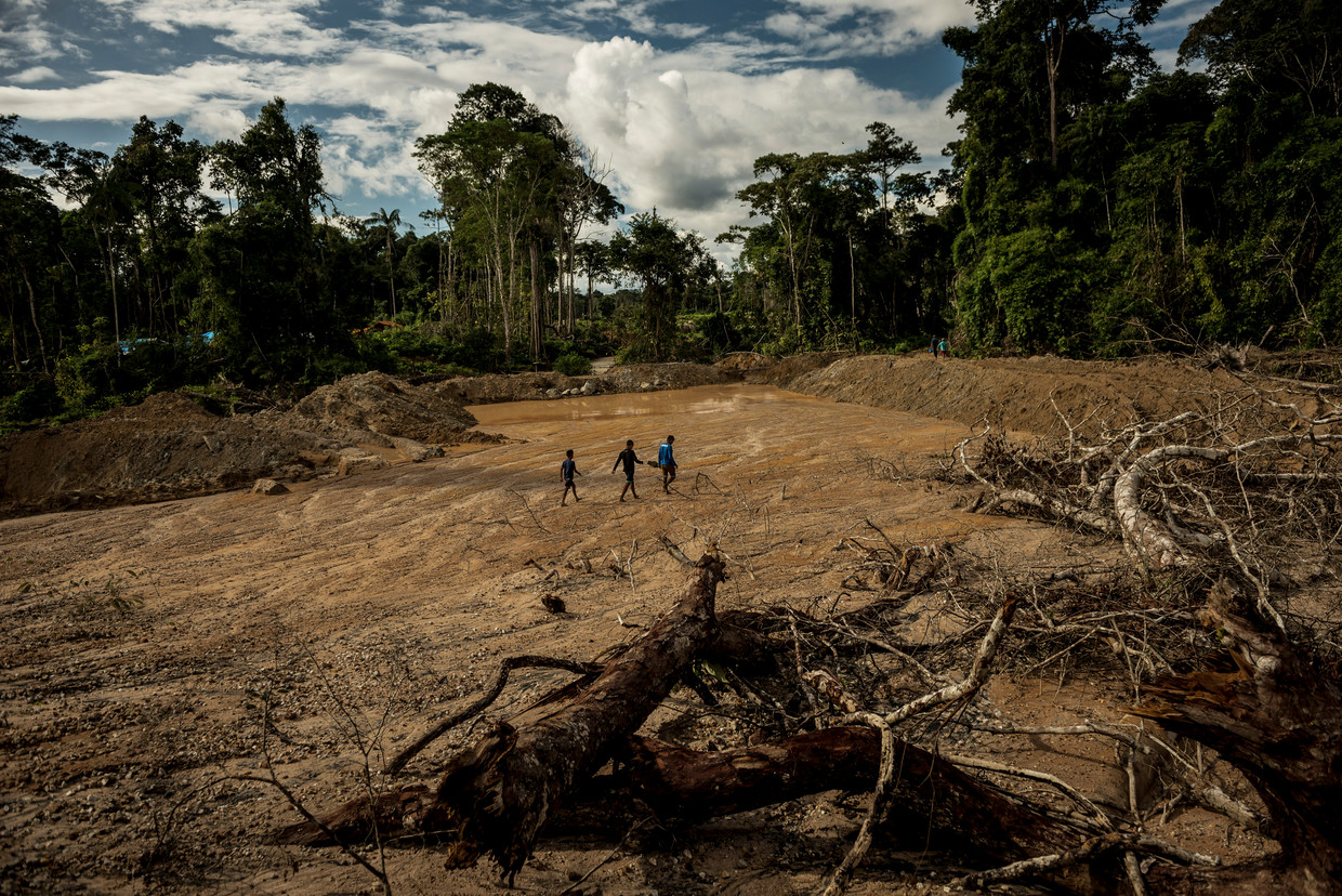 Illegale goudmijnen zorgen voor grote schade in het Amazonegebied, rampzalig voor het Munduruku-volk dat daar woont.
