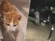 Deurbelcamera filmt hoe man kat lokt en het dier in het water duwt
