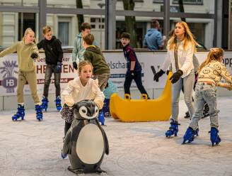 Wouwse ijsbaan 2.0 valt in de smaak