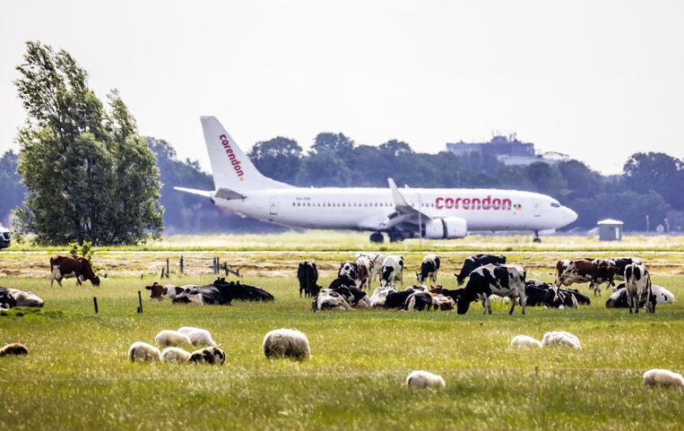 Een vliegtuig landt op Schiphol. Met de uitkoop van boeren denkt de luchthaven genoeg stikstofruimte verkregen te hebben. Ten onrechte, vinden actiegroepen. Beeld ANP / Jeffrey Groeneweg