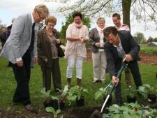 Hoe deze verwelkte tuin in Boskoop helemaal opbloeide (en nu ieder jaar 15.000 bezoekers trekt)