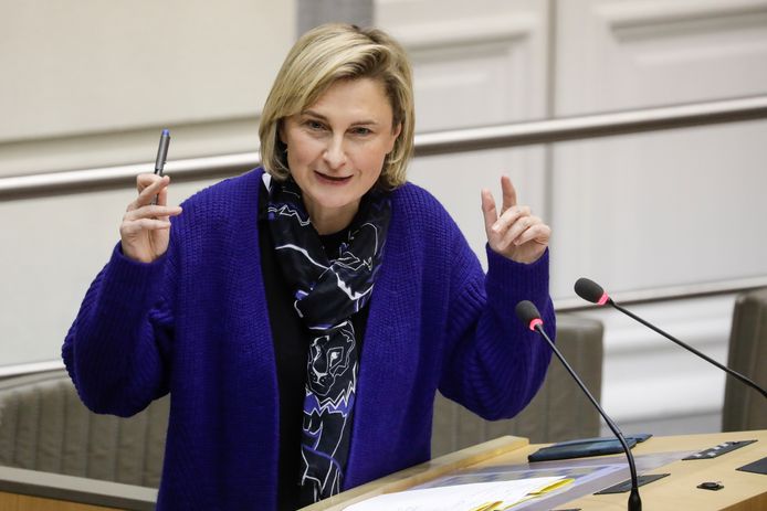 Vlaams minister van Onderwijs Hilde Crevits (CD&V).