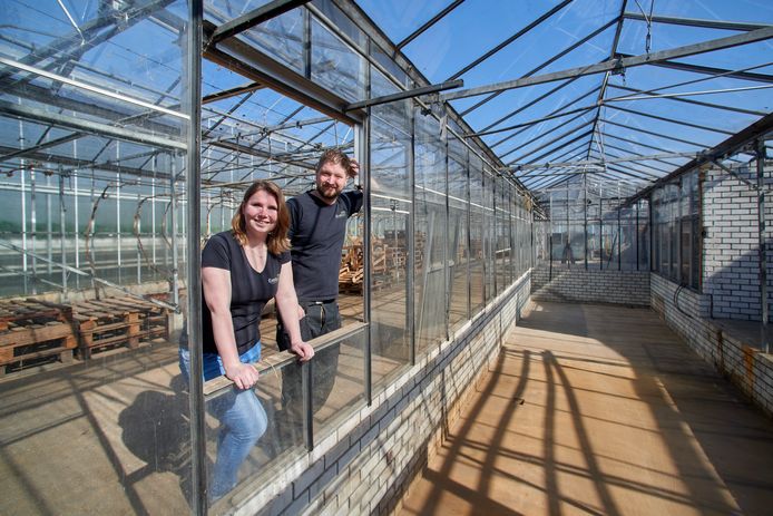 Tim van Oostrum en zijn vriendin Eva beginnen een educatiecentrum exotische dieren aan de Groothees in Erp. Rechts de plek waar ze het bassin voor de kaaimannen willen maken.