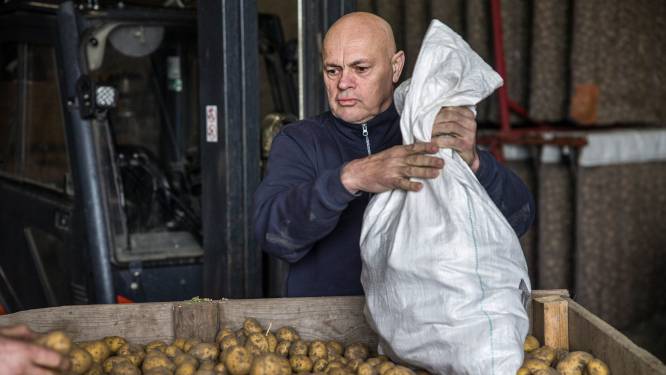 Bioboeren zijn hoge prijs voor hun product beu: ‘Als supermarkt wil je toch niet de nieuwe Shell worden?’