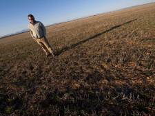 Spaanse boeren hebben last van ergste droogte sinds 1940
